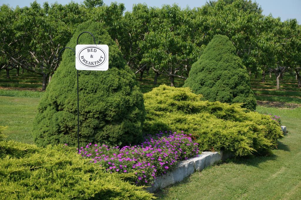 On The 6 Bed And Breakfast Niagara-on-the-Lake Екстер'єр фото